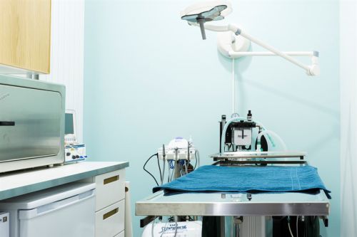 Clinique vétérinaire Vet'16