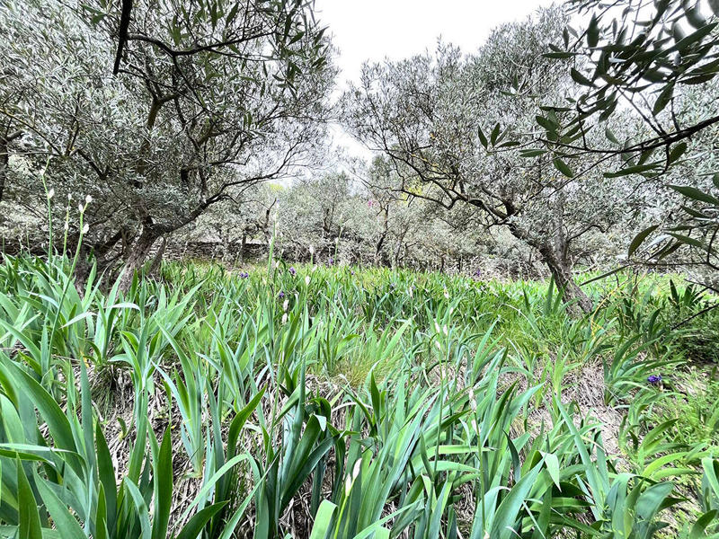 Maison - 141 m² - 6 pièces