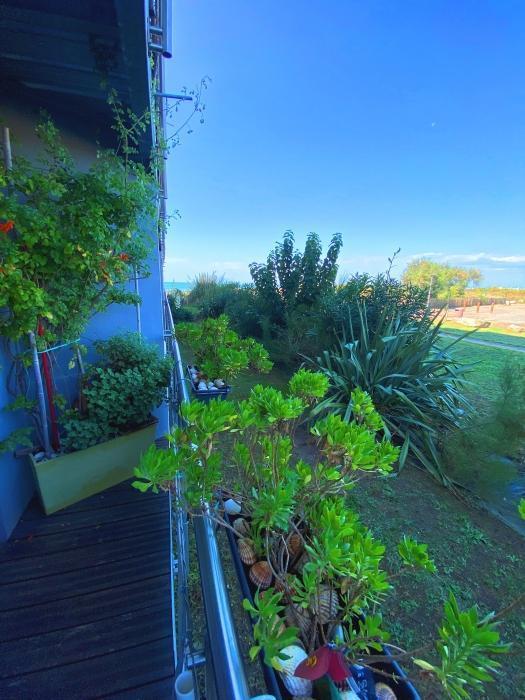 Studio - 31 m² - 1 pièce