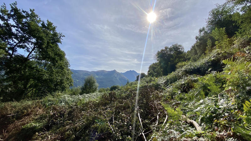 Maison - 71 m² - 1 pièce