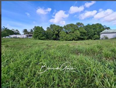 Terrain constructible - 1 701 m²