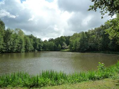 Terrain - 41 380 m²