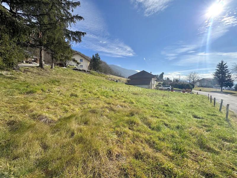 Terrain - 863 m²