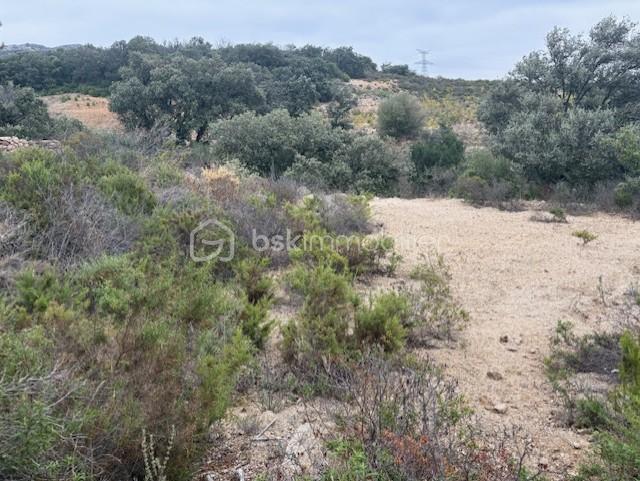 Terrain agricole - 10 160 m²