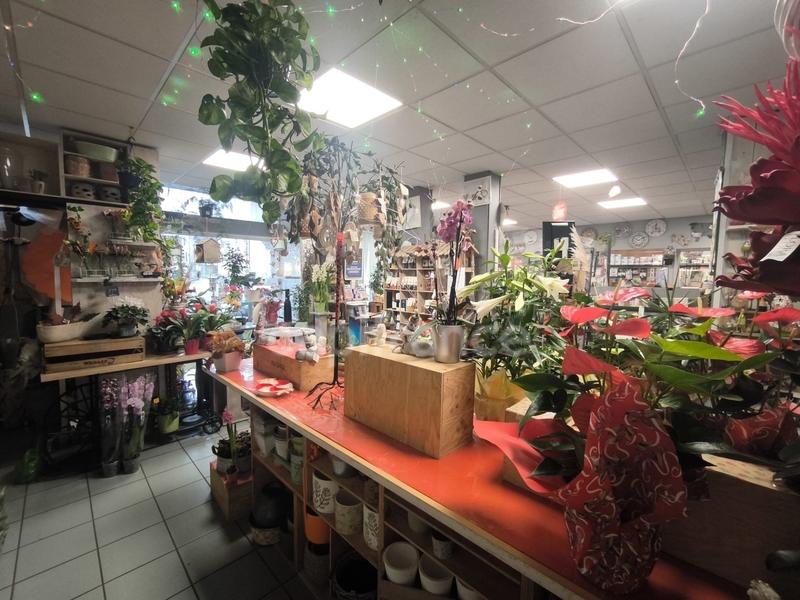 Fonds de commerce - Magasins - 340 m²