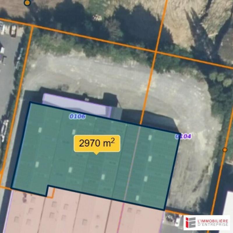 Local d'activité / Entrepôt - 3 000 m²