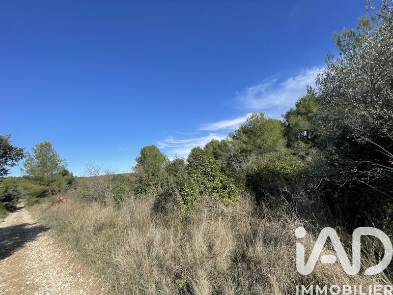 Terrain agricole - 8 420 m²