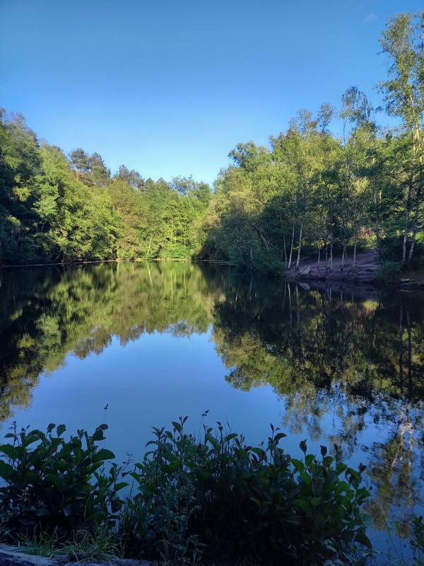 Balade Contée Goûter en Brocéliande