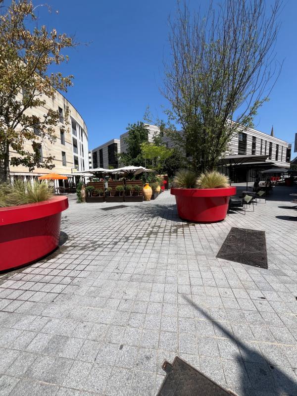 Appartement - 77 m² - 4 pièces