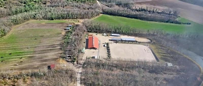 Local commercial - 380 m² - 20 pièces