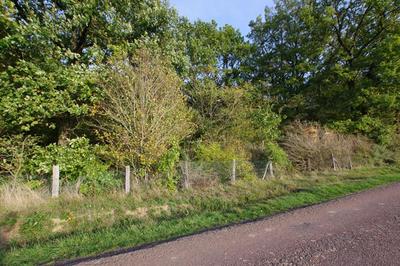 Terrain de loisirs - 2 663 m²