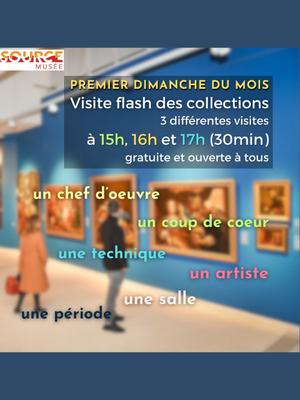 Visites flash &gt; Musée d'art et d'histoire