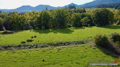 Terrain - 9 050 m²
