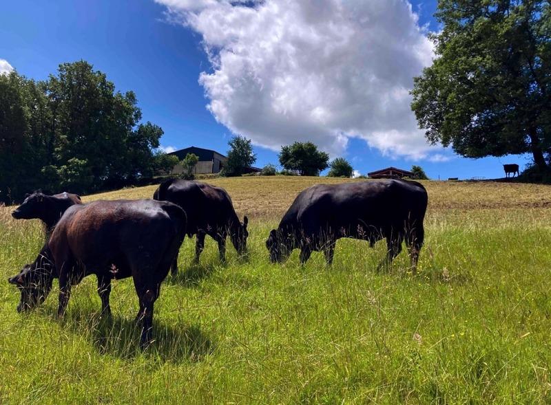 Propriété - 100 m² - 5 pièces