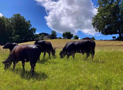 Propriété - 100 m² - 5 pièces