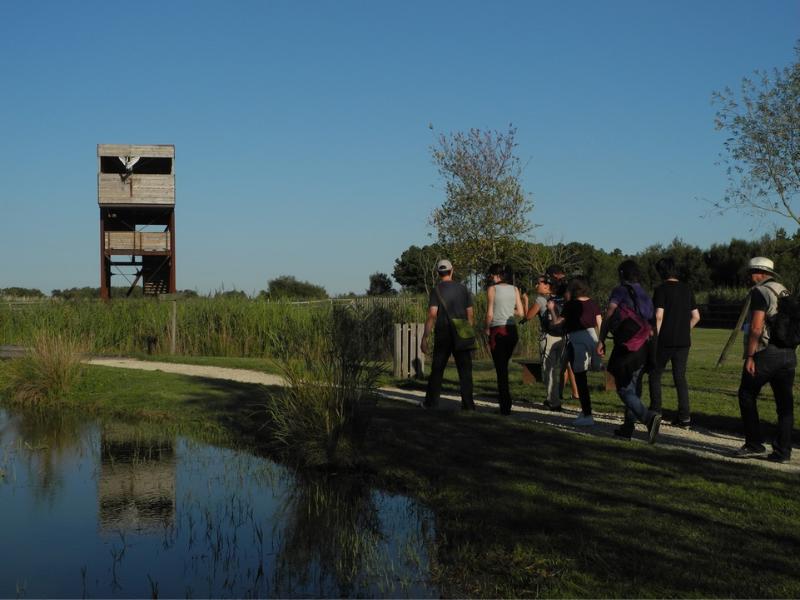 Nocturnes Chouette et Compagnie à Terres d'Oiseaux