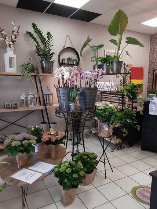 Le Jardin d'Angélique