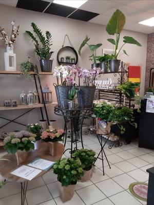 Le Jardin d'Angélique