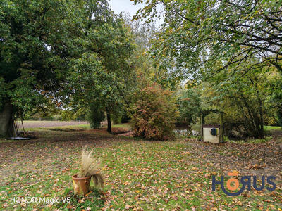 Viager - Maison - 118 m² - 6 pièces