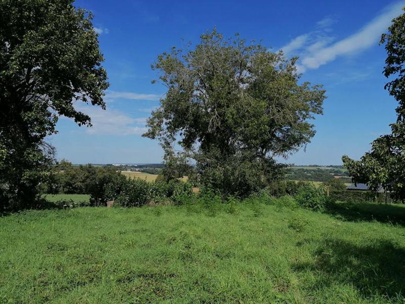 Terrain constructible - 800 m²