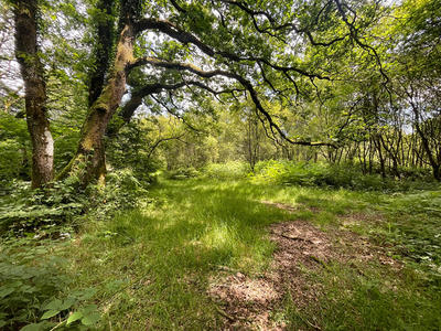 Maison - 130 m² - 9 pièces