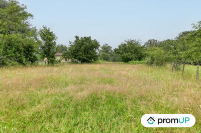 Terrain - 1 831 m²