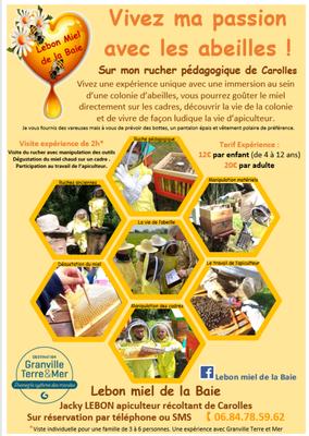 Expérience de Destination : Vivez ma passion avec les abeilles !