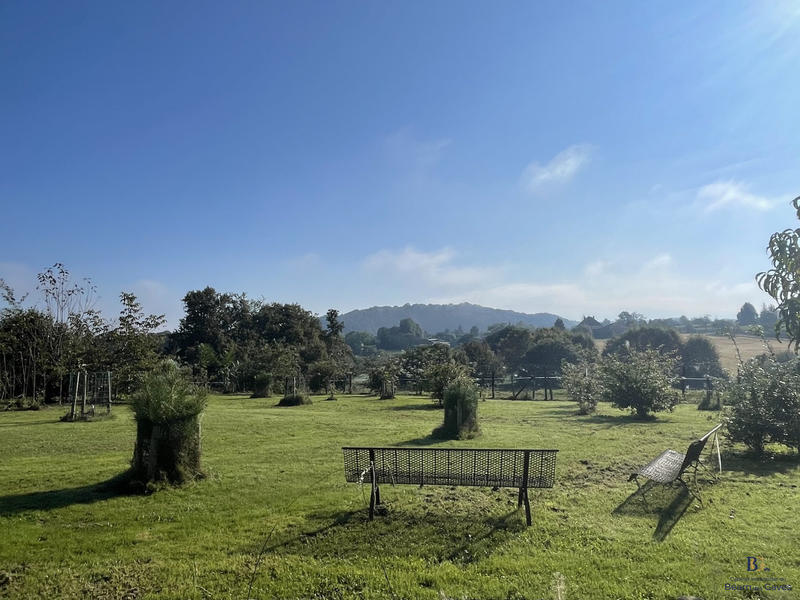 Maison ancienne - 343 m² - 9 pièces