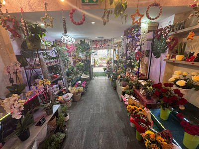 Local commercial - 53 m² - 2 pièces