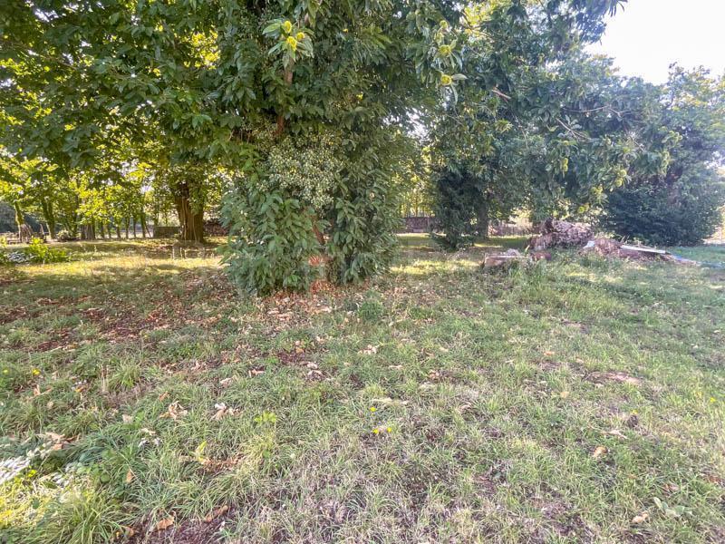 Maison de village - 220 m² - 6 pièces