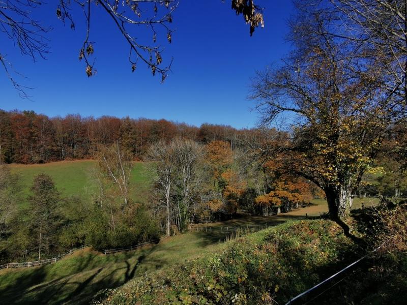 Propriété - 590 m² - 16 pièces