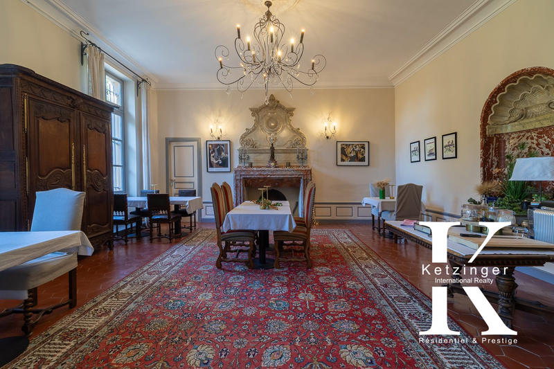 Château - 1 450 m² - 28 pièces