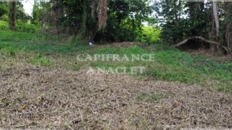 Terrain constructible - 1 187 m²