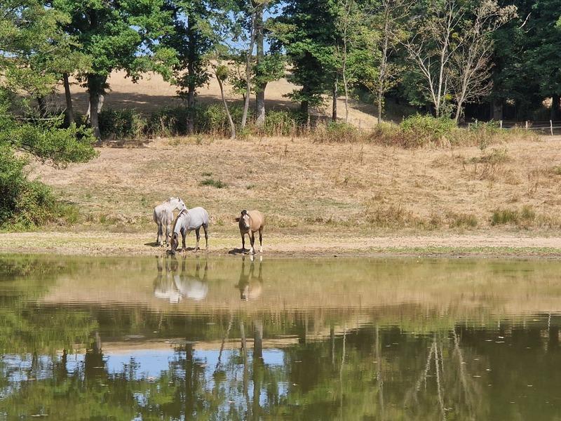 Maison - 219 m² - 10 pièces