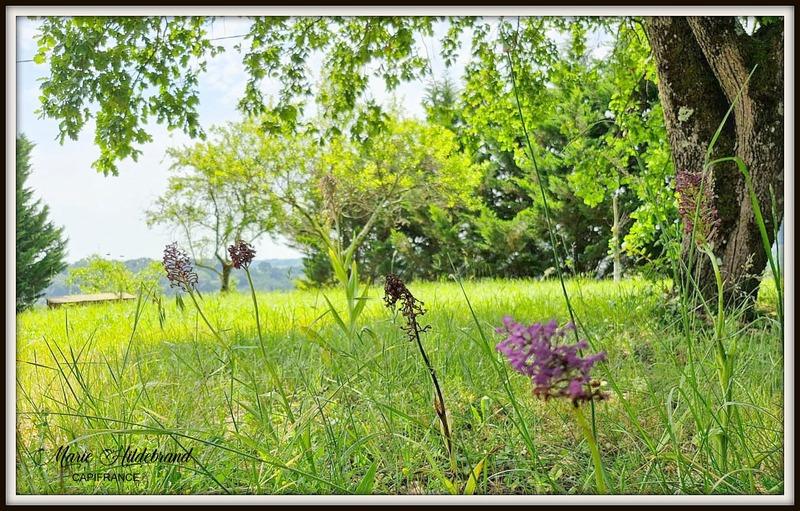 Maison en pierre - 162 m² - 7 pièces