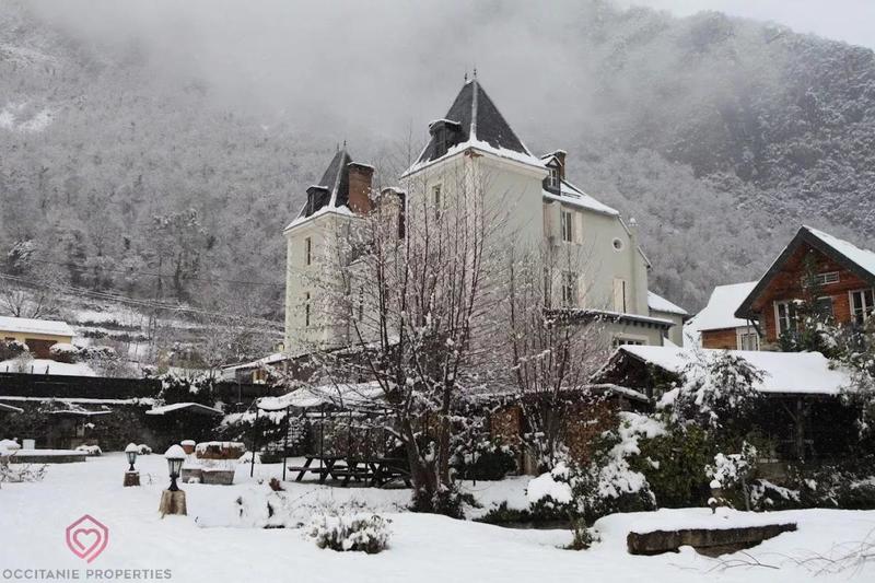 Château - 810 m² - 11 pièces