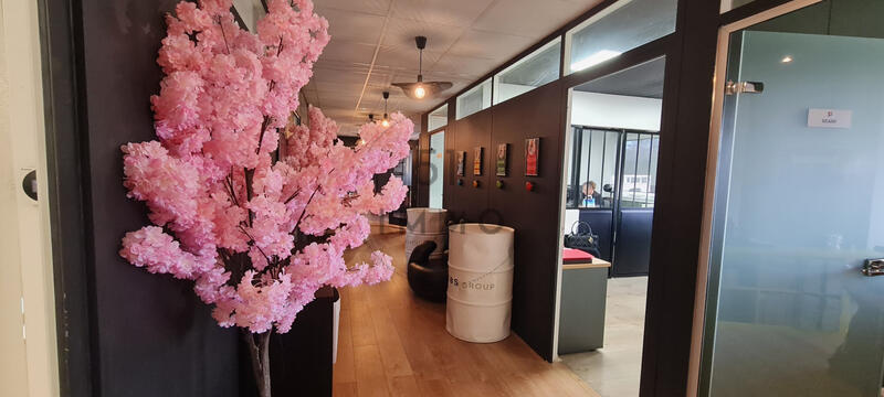 Bureau - 297 m²