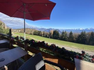 Demeure - 300 m² - 10 pièces