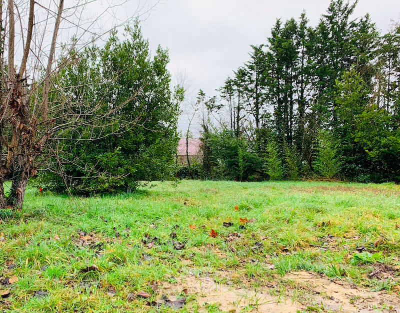 Terrain constructible - 1 037 m²