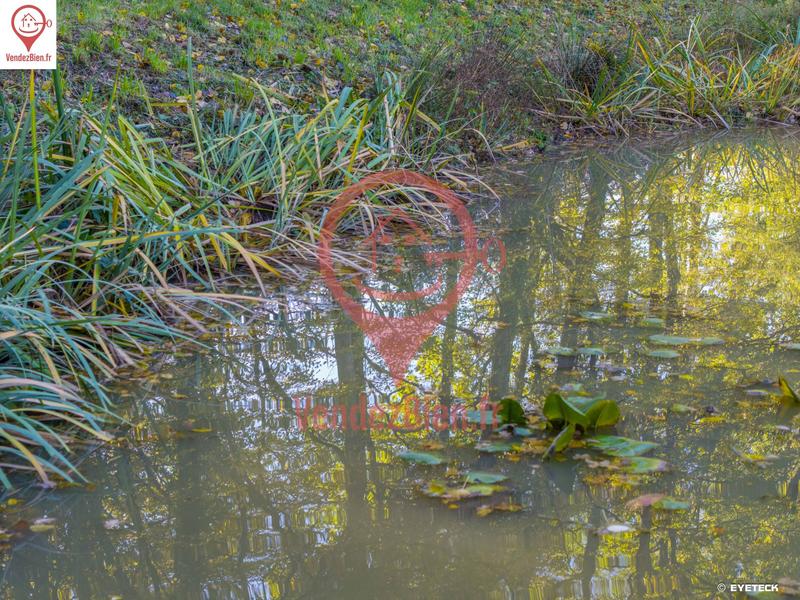 Terrain de loisirs - 9 062 m²