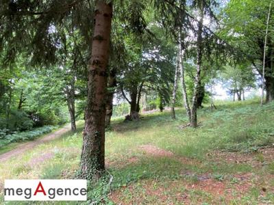 Terrain constructible - 2 384 m²