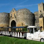 Le Petit Train Dommois