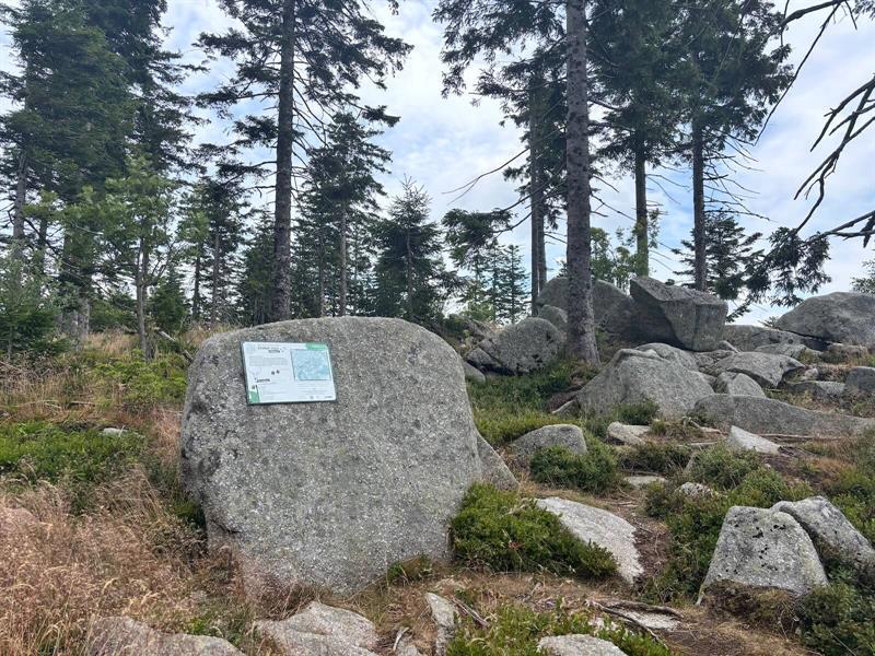 Jeu de piste - Sur les traces de Croque-Noix