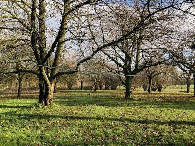 Maison - 220 m² - 7 pièces