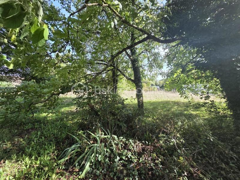 Maison - 175 m² - 7 pièces