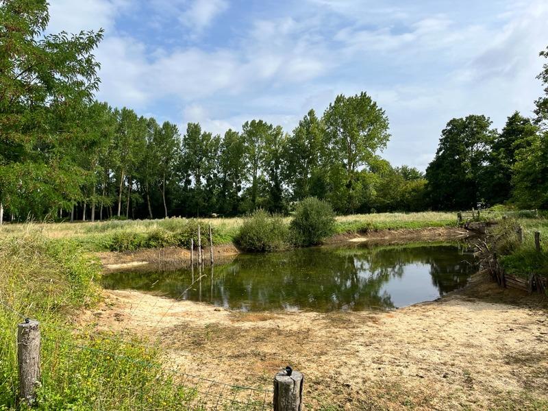 Maison - 123 m² - 6 pièces