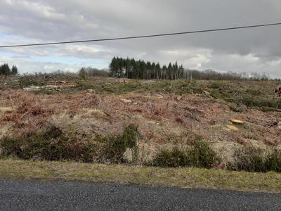 Terrain - 79 390 m²