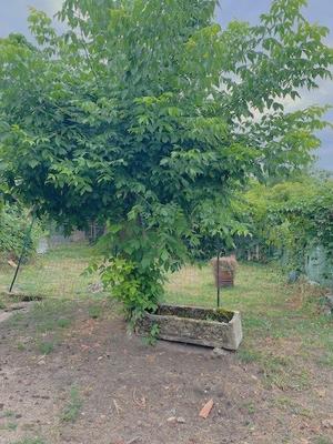 Maison - 194 m² - 9 pièces