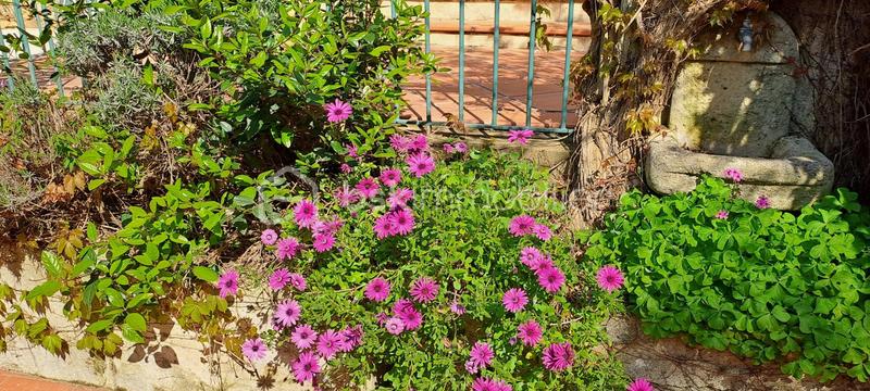 Villa - 243 m² - 11 pièces