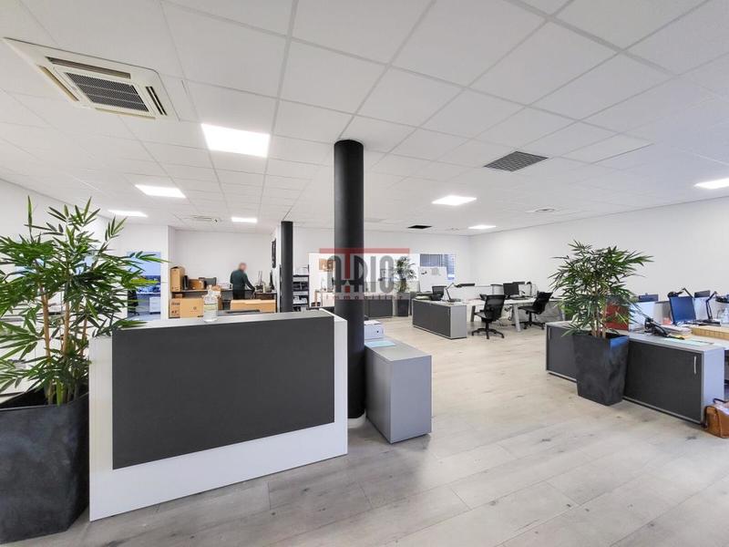 Bureau - 186 m²